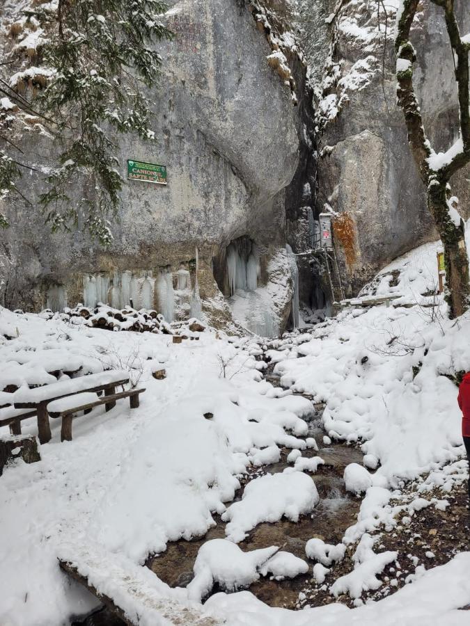 7Soapte Timișu de Jos Esterno foto