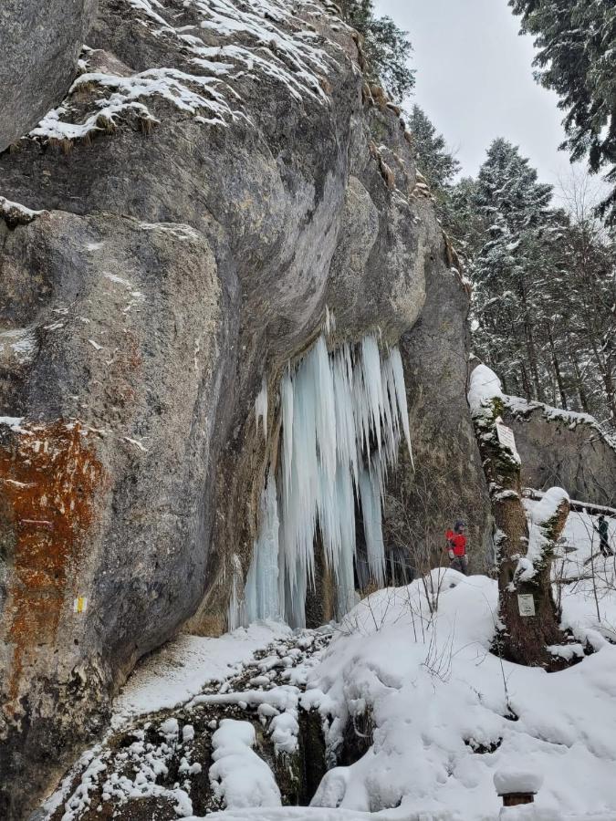 7Soapte Timișu de Jos Esterno foto